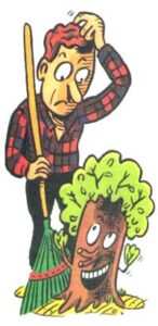 Tree Care Tips Image